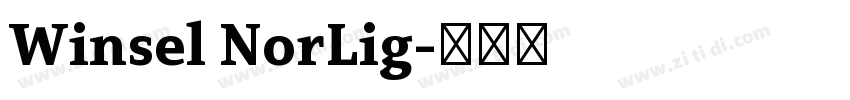 Winsel NorLig字体转换